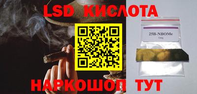 прущие грибы Кулебаки