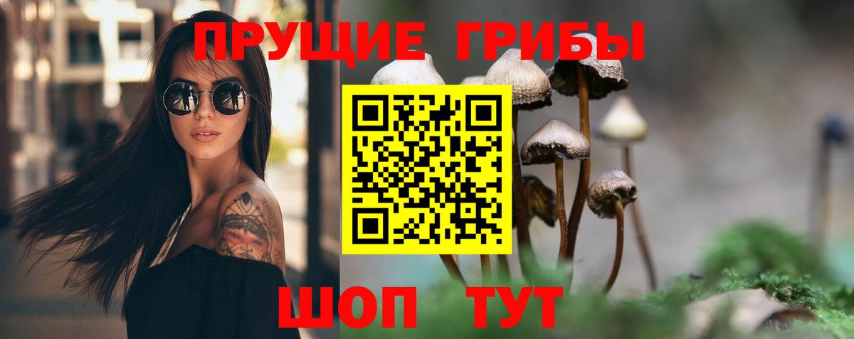 Калининград  Галлюциногенные грибы мицелий  Вход с VPN 